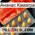 Ананас Камагра new01